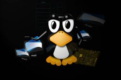 American Linux Engineer Interview exposure
