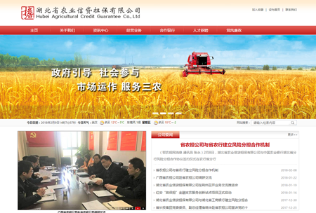 湖北省农业信贷担保有限公司网站开发(2016-2019)