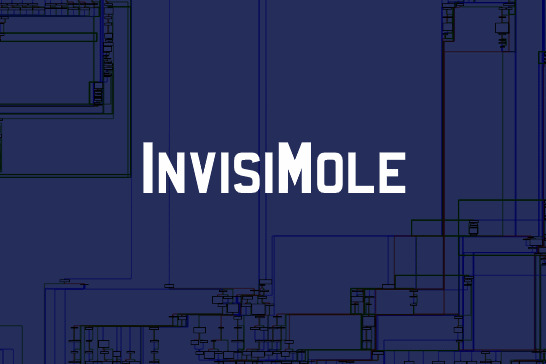 InvisiMole: the spies that have been lurking for a long time