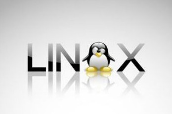 初识Linux渗透：从枚举到内核利用
