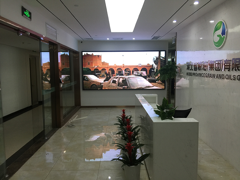湖北省粮油（集团）有限责任公司多媒体会议室和LED屏安装施工
